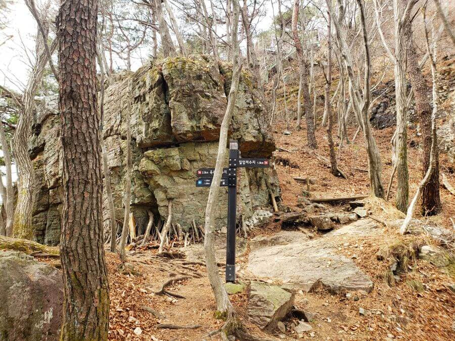 A large, leaning rock seemingly propped up by sticks