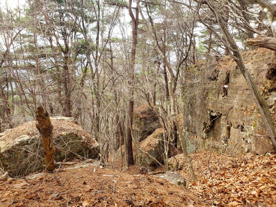 Large rocks in a forest on hillside