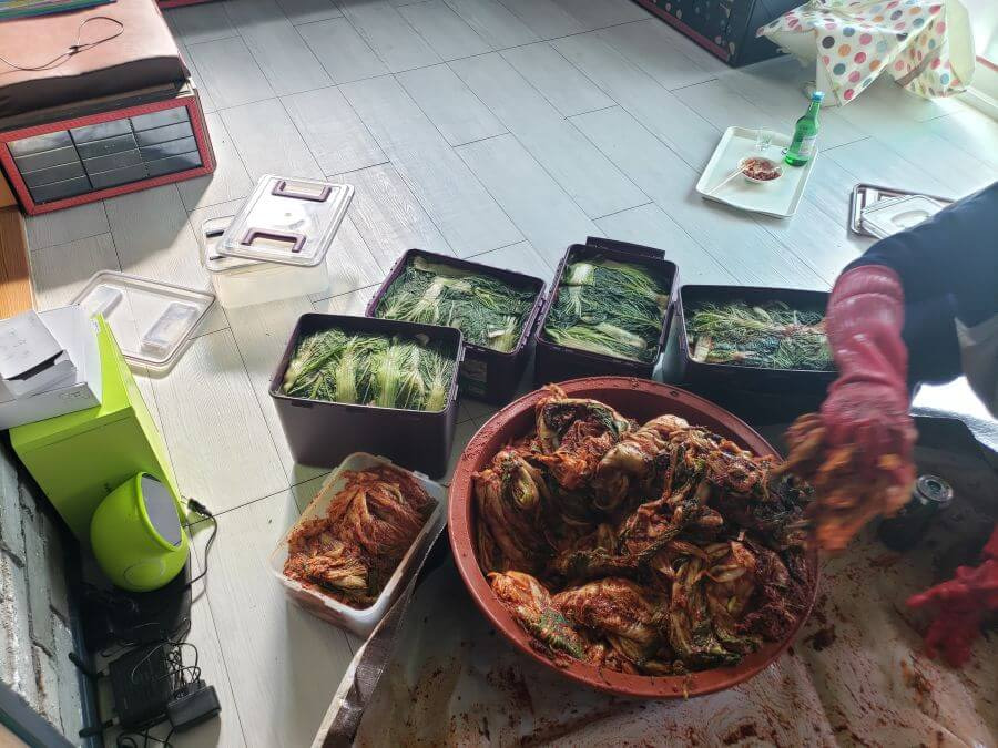 Plastic bins of cabbage with kimchi