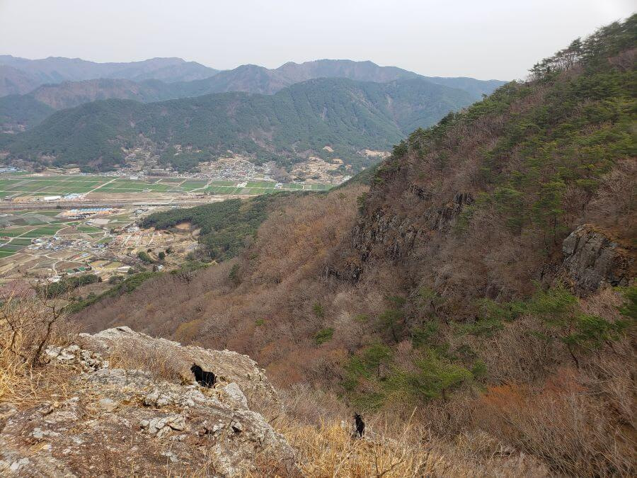 Two mountain goats on a rocky mountainside