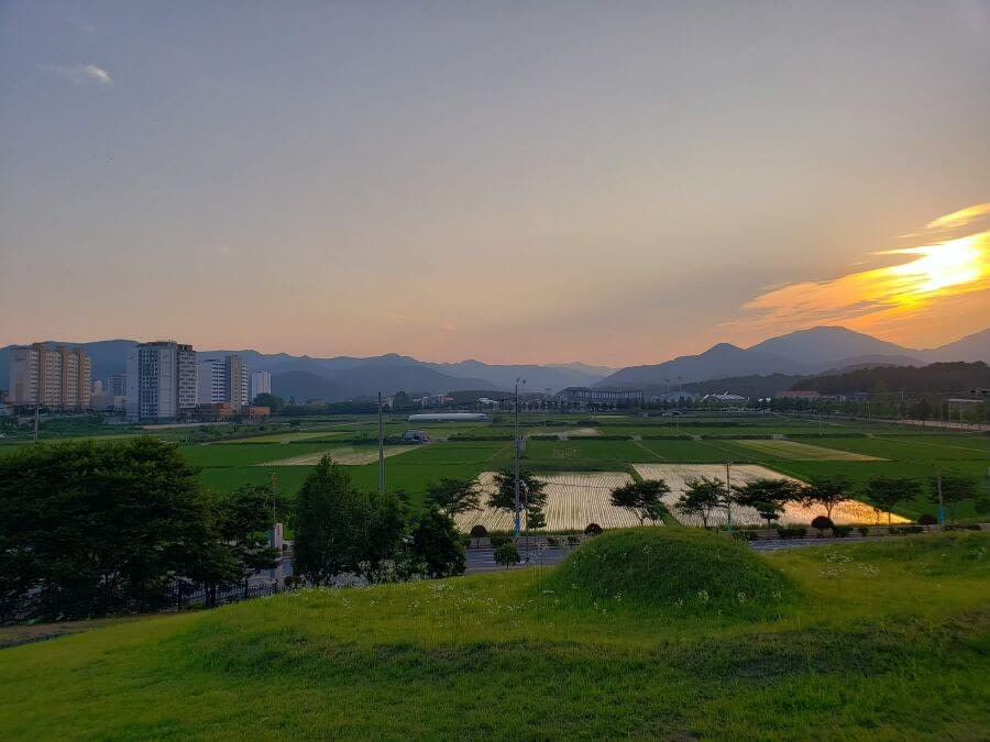 Water in rice fields during a sunset
