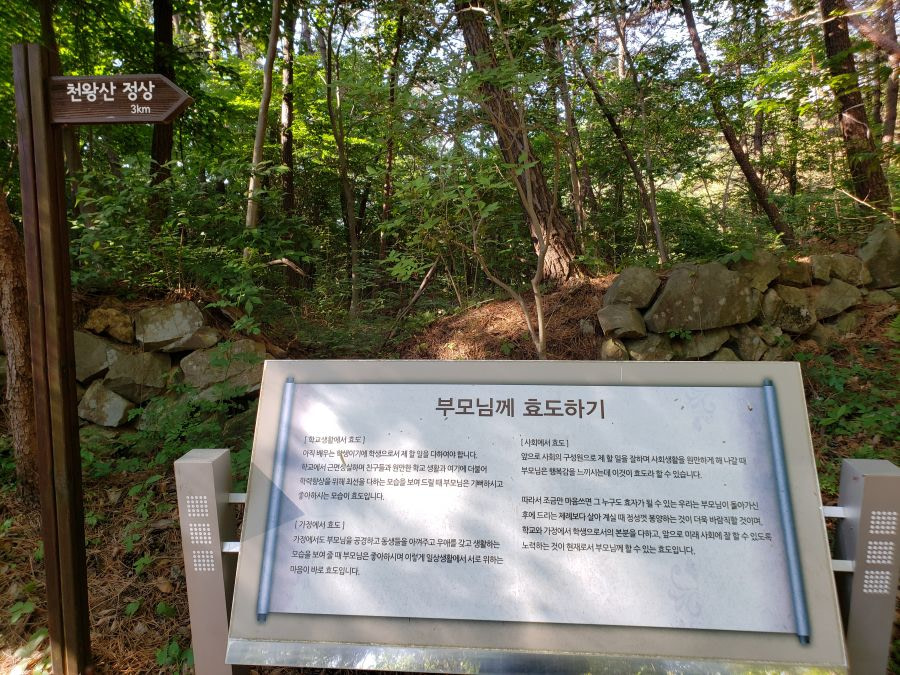 An info board in the forest explaining about filial piety