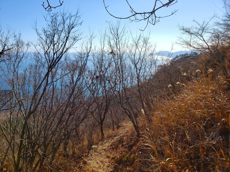 A narrow path through winter foliage on a mountaintop